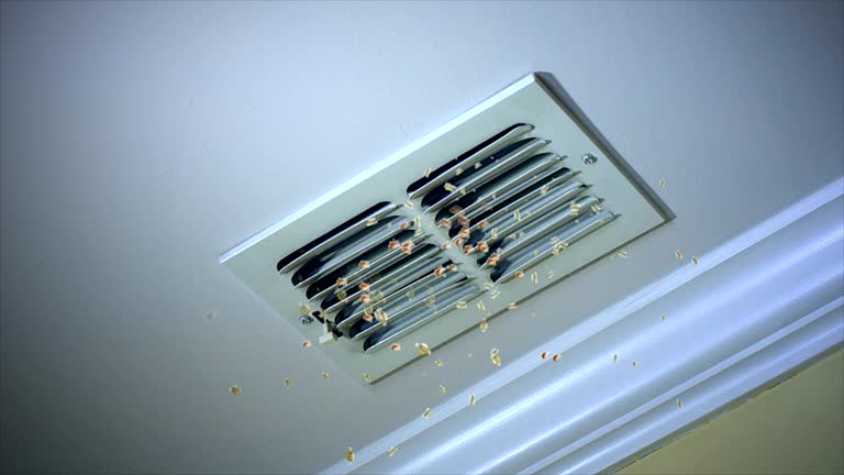 Best Emergency Air Duct Cleaning  in Woodstock, IL