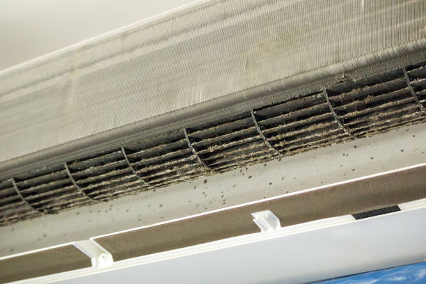 Best Air Vent Cleaning Services  in Woodstock, IL