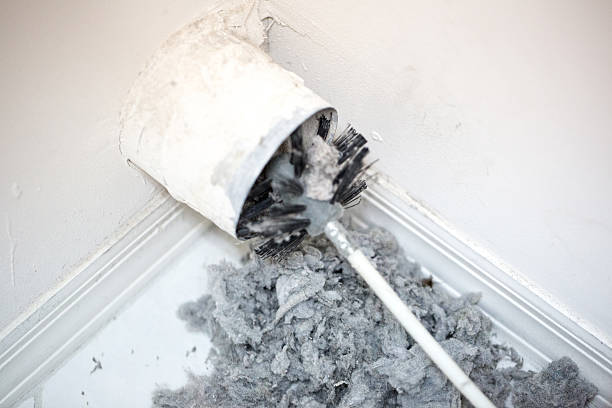 Best Dryer Vent Cleaning Services  in Woodstock, IL